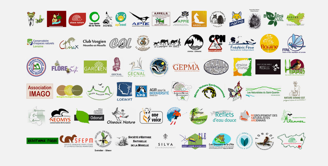 logos des structures du collectif